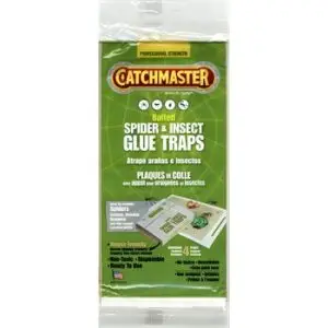 Spider, Cockroach & Insect Glue Traps - 4 pk